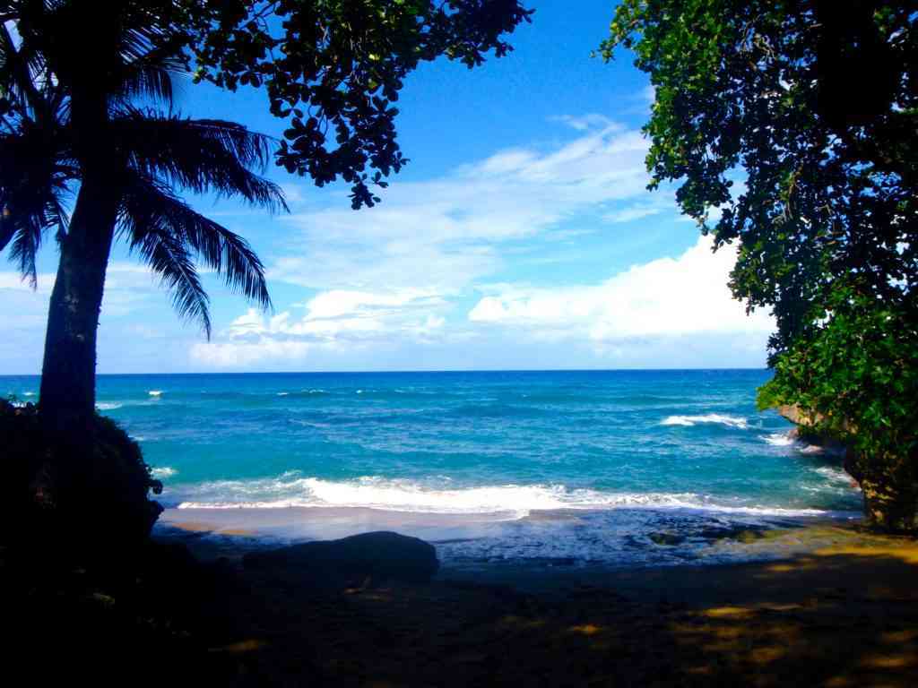 tropical beach in cabarete