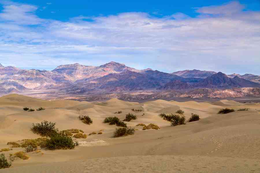 Mesquite Sand Dunes Death Valley