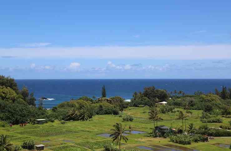 Wailua Valley State Wayside