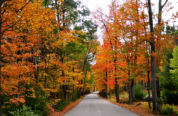 Fall Driving Route