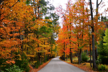 Fall Driving Route