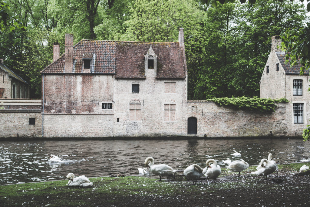 Bruges history