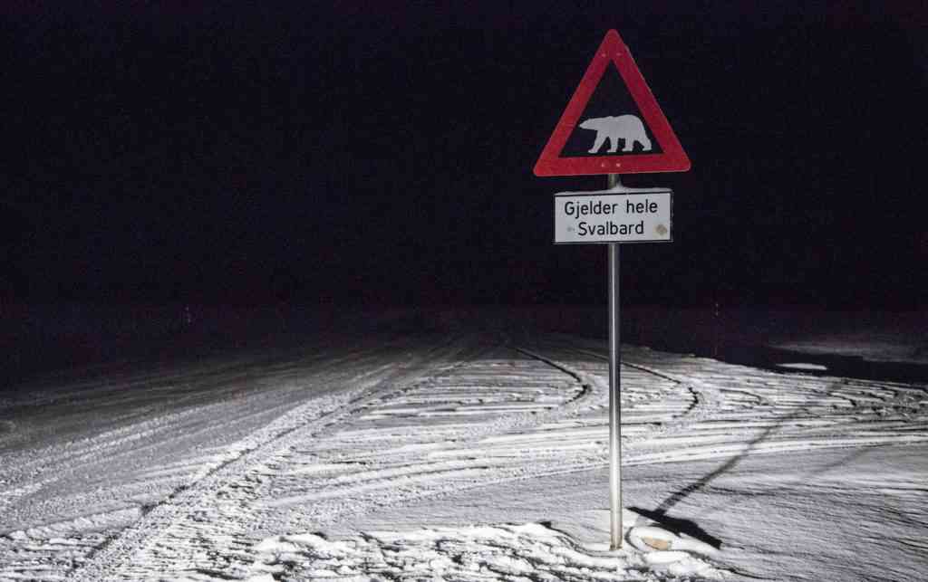 Polar Bear Warning Sign Svalbard