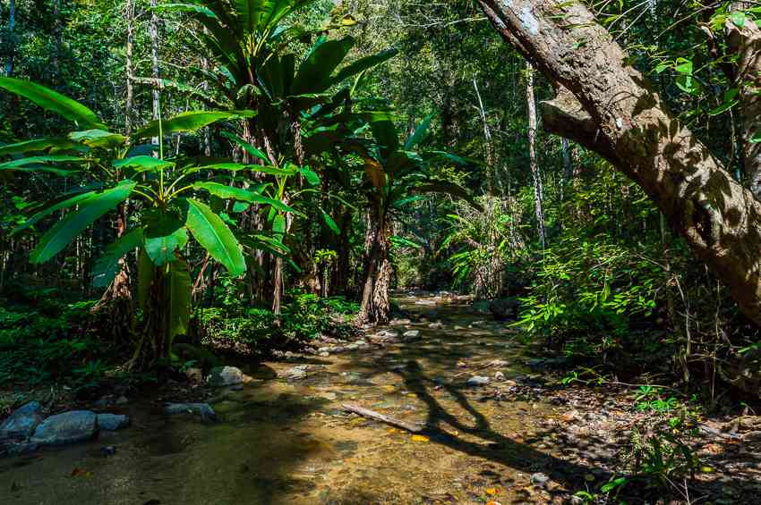 Adventures in Pai, Thailand