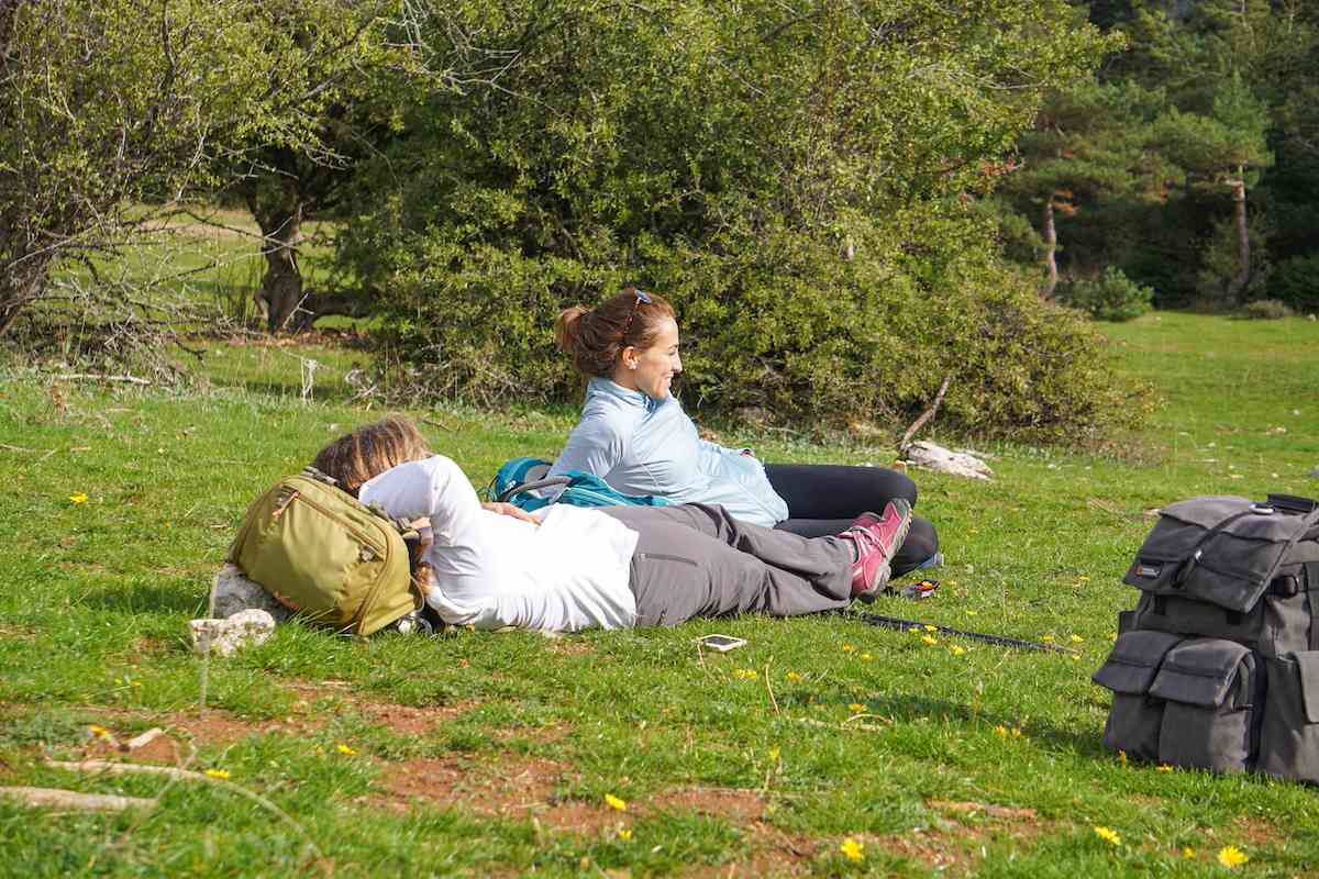 relaxing on a meadow
