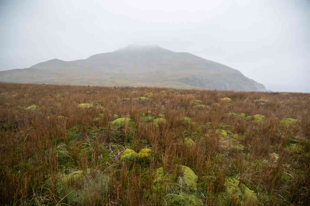 Cape Horn Mist