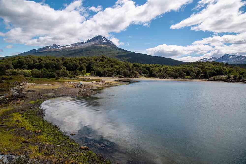 Lapataia Bay shore