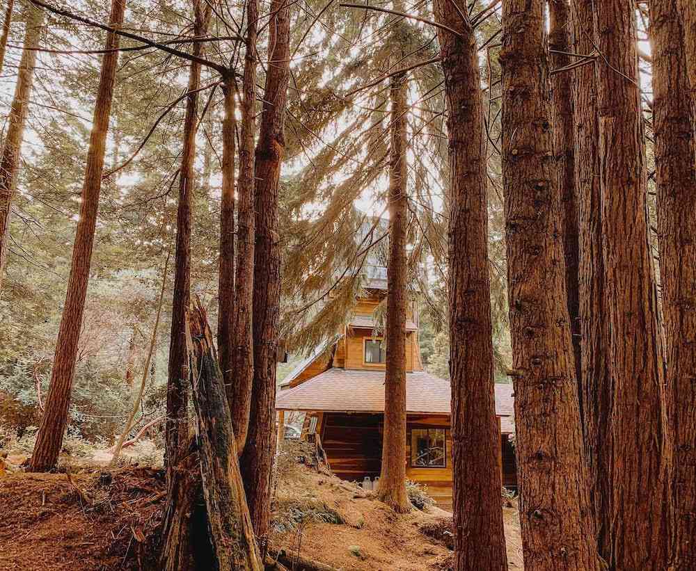 Northern California Airbnbs - water tower in forest